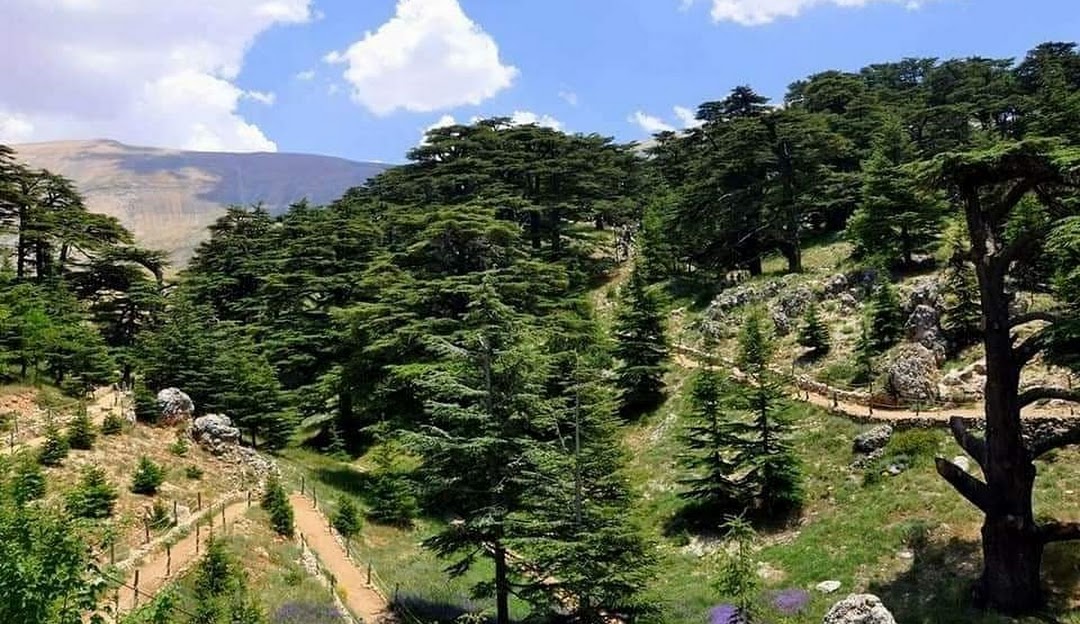 Lebanon